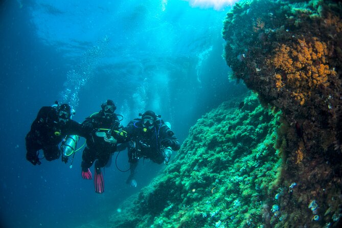 Discover Scuba Diving PADI – Trial Dive in Sorrento