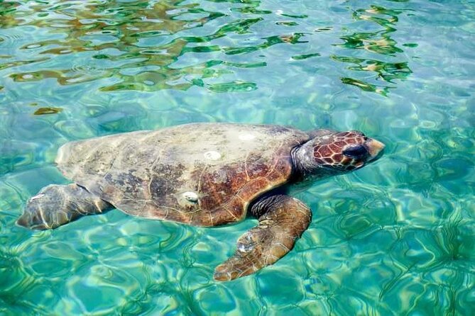Discover Scuba Diving Resort Course