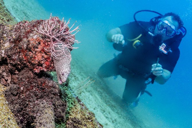 Discover Scuba Experience at Las Caletas, Puerto Vallarta - Overview of the Experience