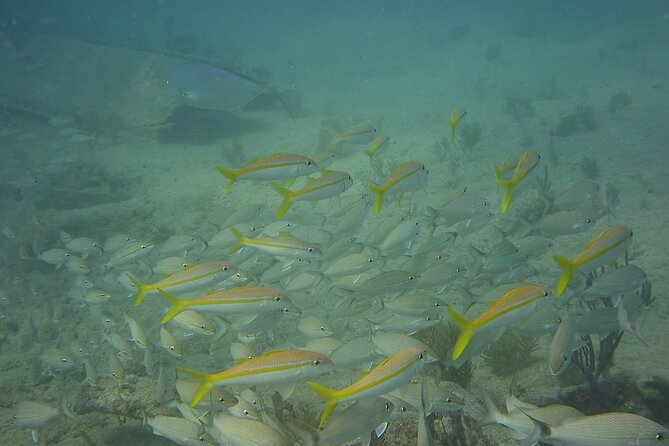 Discover Snorkeling Tour in Panama City