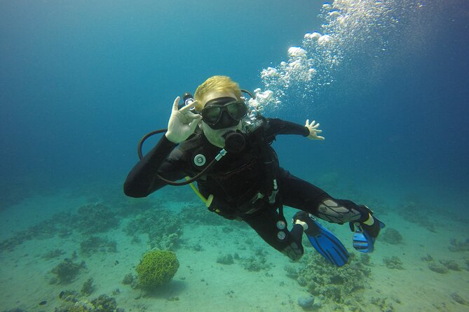 Discover the Depths: Aqabas Ultimate Private Dive Experience
