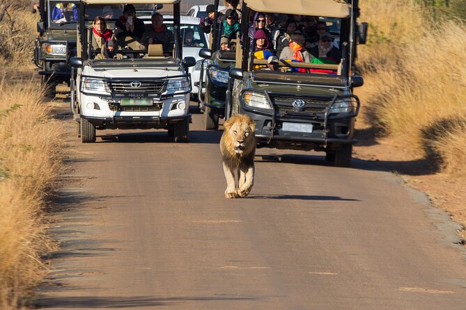 Discover the Pilanesberg With a Personalized Full Day Safari