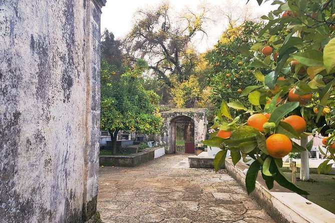 Discover The Religious Heritage Of Apokoronas - Overview of Apokoronas Region