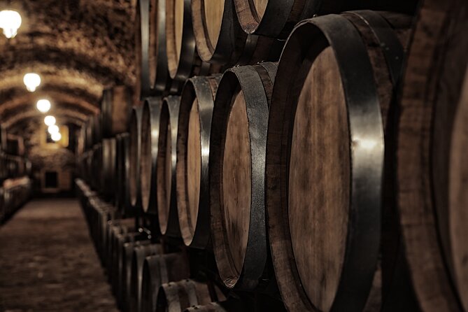 Discover the Winery and Taste Fine Wine in Extremadura - Overview of the Winery Experience