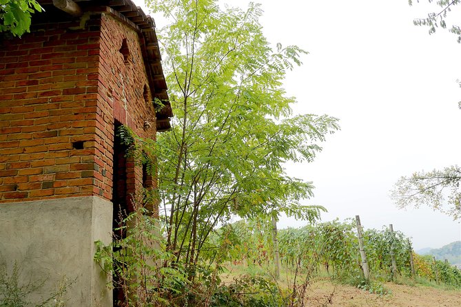 Discovering Roero and Its Wines
