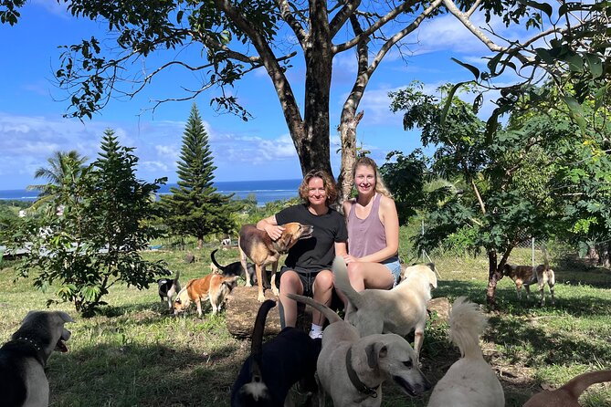 Dog Lovers Guided Tour of the Happy Tails Sanctuary - Location and Getting There