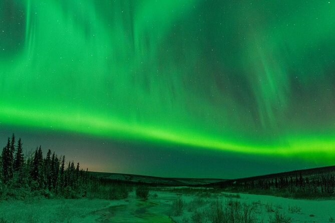 Dog-Pulled ATV Experience|Fairbanks|The Date With Aurora Alaska