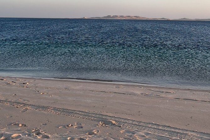 2 Best Tours In Qatar
