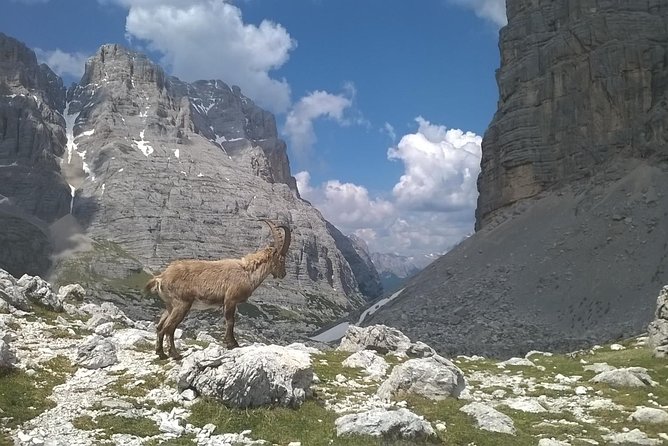 Dolomites Hiking Tour - Tour Overview