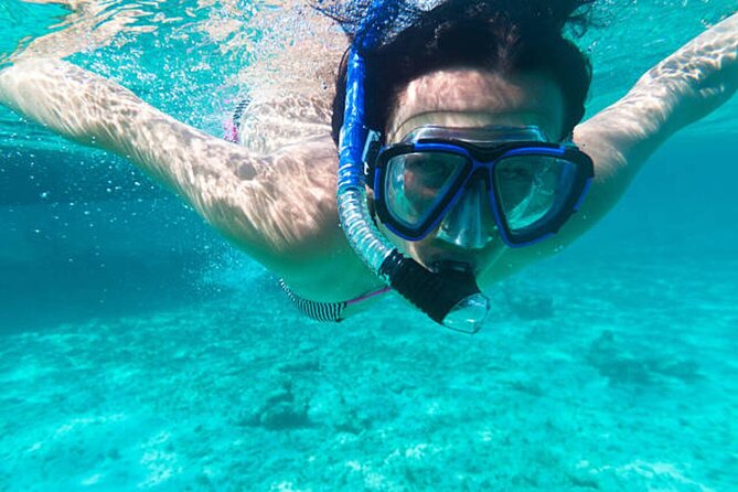 Dolphin House With Snorkeling & Lunch -Hurghada
