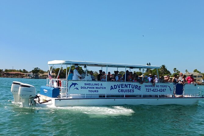 Dolphin /Shelling/Snorkeling Tours Private Charters