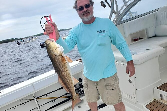 Dolphin Tour & Inshore Fishing Adventure (Flowing Water Charters)
