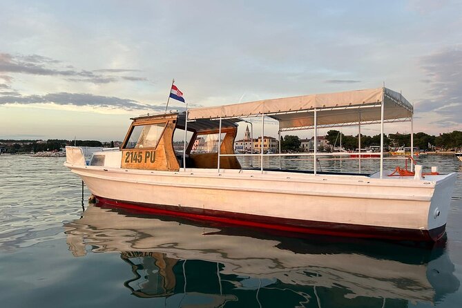 Dolphins and Sunset Tour in Fažana-Croatia