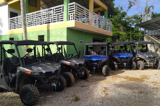 Double Buggy From Samaná