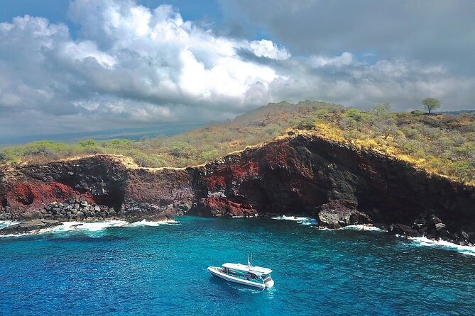 Double Reef Snorkel, Dolphin & BBQ