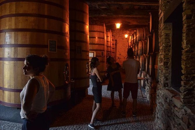 Douro Valley Wine Tour