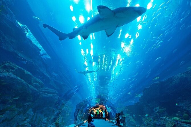 Dubai Aquarium and Underwater Zoo