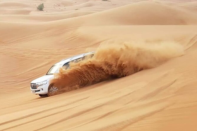 Dubai Desert Safari Tour Hotel Transfer, Camel Ride & BBQ Dinner