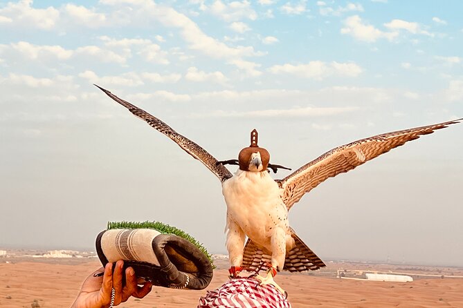 Dubai: Red Dunes Desert Safari Premium BBQ Dinner Camel Sandboard
