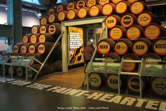 Dublin in a Day: Book of Kells & Guinness Storehouse Private Tour