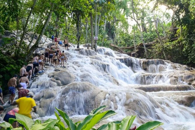 Dunns River Falls & Bob Marley Nine Mile Ocho Rios Comb Tour