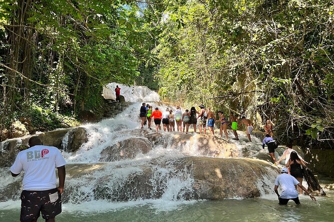 Dunns River Falls Private Tour ** {Entry Tickets Included }**