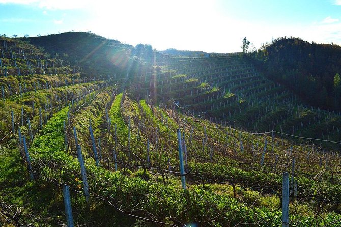 Durres & Wine Tasting Tour