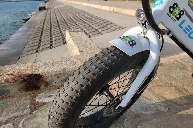 E-Bike Rental In Waikiki