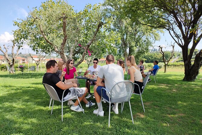 E-Bike Tour and Wine Tasting Review