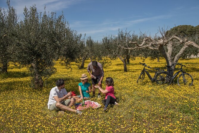 E-Bike Tour Between Martina Franca and Locorotondo