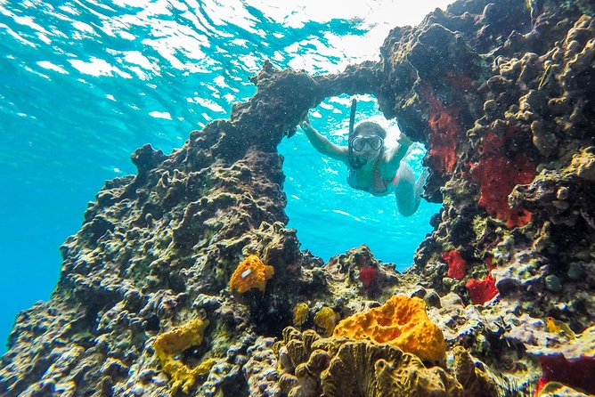 E-bike West Coast Snorkeling Tour