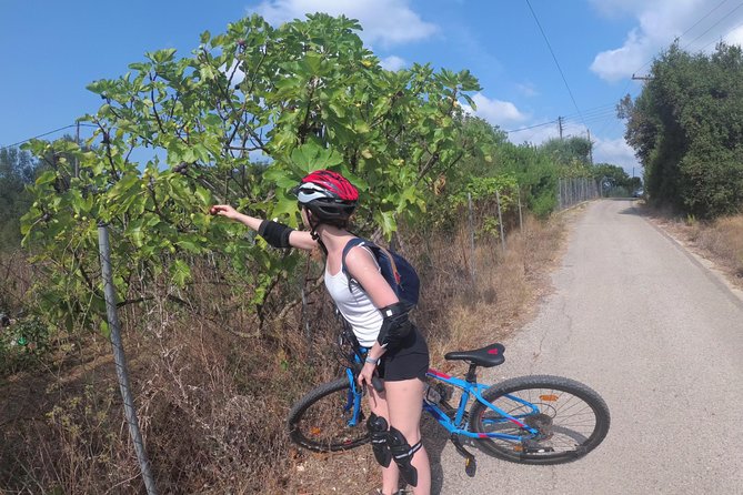 E-Mtb Tour - Durrells Farm & Crab Lake Review - Overview of the Tour