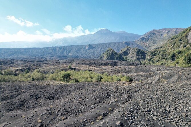 East Etna Half Day E Bike Tour - Ebike Specifications