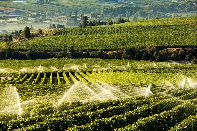 East Kelowna Wine Tour – Classic – 4 Wineries