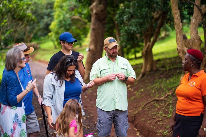 Eastern Tours/ Mt. Carmel Falls / Laura Spice Tour / Clarkes Court Distillery