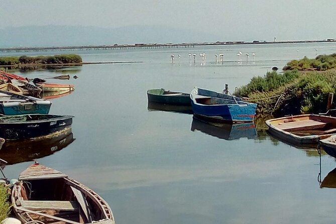 Ebro Delta Guided Tour Review