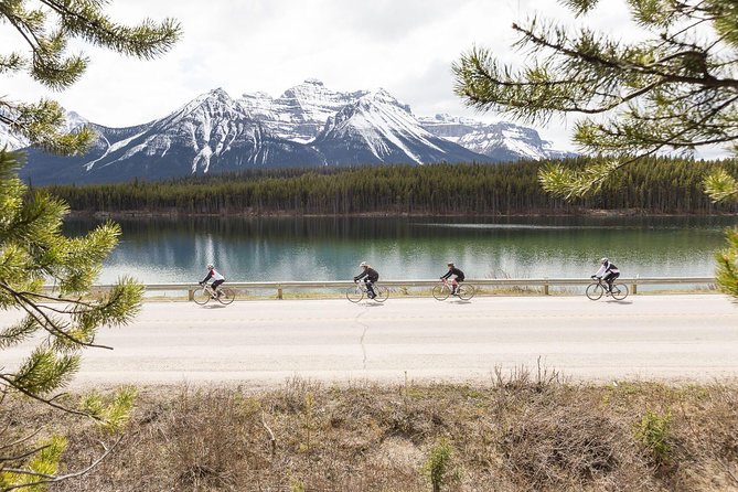 Edmonton Bike Rentals