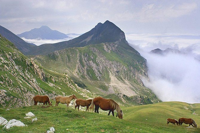 El Camino and the Pyrenees Private Day Tour From St-Jean-Pied-De-Port to Roncesvalles