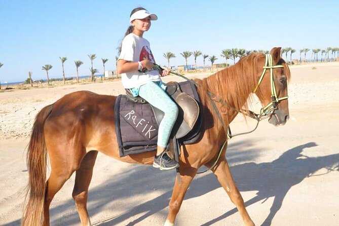 El Gouna Horse Ride Tour