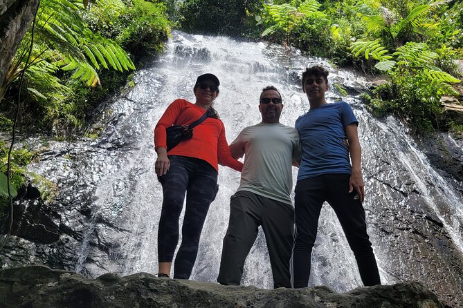 El Yunque National Forest – The Road 191 Corridor – Half Day Tour