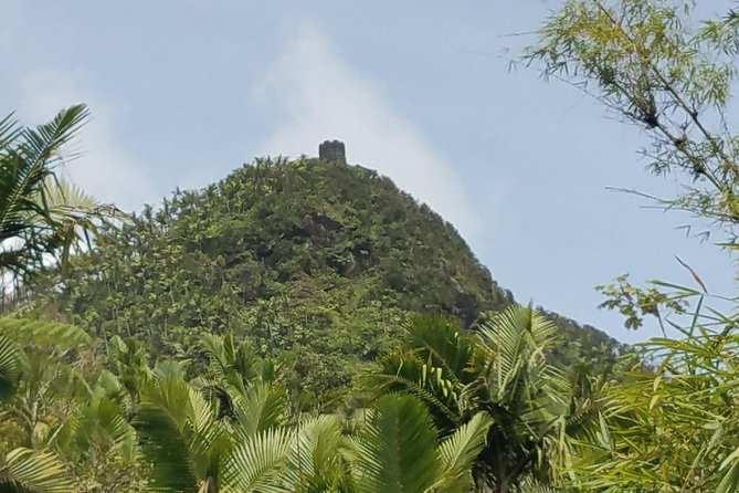 El Yunque Rainforest Full Day Private Tour