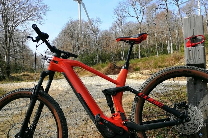 Electric Assisted Bike Rental - Overview of the Service