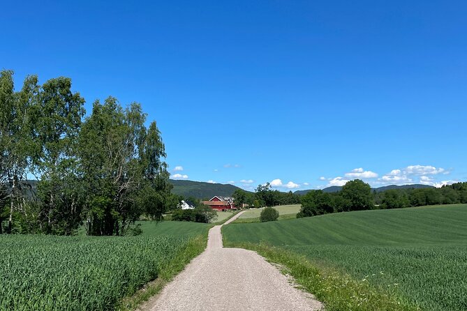Electric Mountain Bike Tour in the Forest of Oslo - Meeting and Logistics