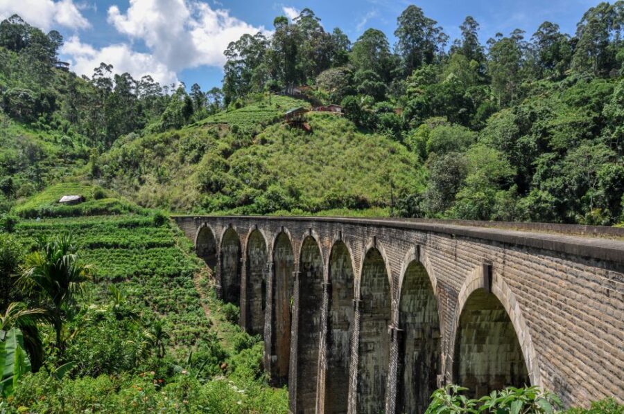 Ella: 9 Arch Bridge, Ella Rock, & Little Adam’S Peak Tour