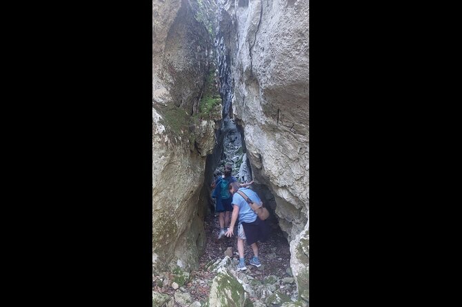 Enchanted Forest Hike and Wine Tasting Private Tour