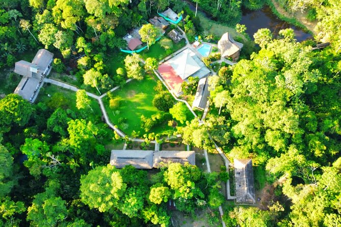 Enchanting Rainforest Escape: 4-Day Honeymoon Journey From Quito - Immerse in Rainforest Romance
