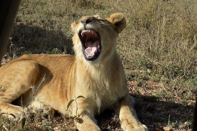 Enjoy a Private Day Trip to Lake Manyara National Park.