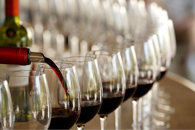 Escape to the Maipo Valley Wine Tour From Santiago