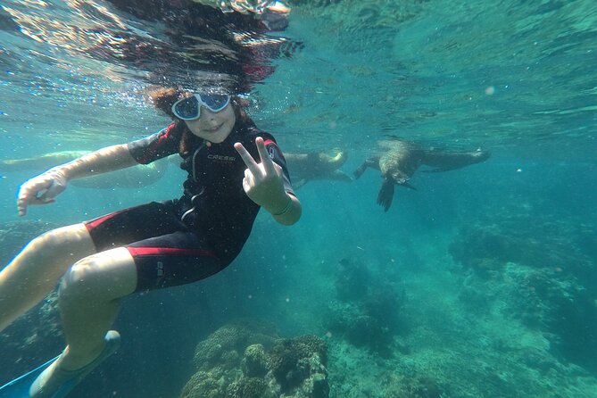 Espiritu Santo Island Snorkel and Sightseeing Tour on Small Group