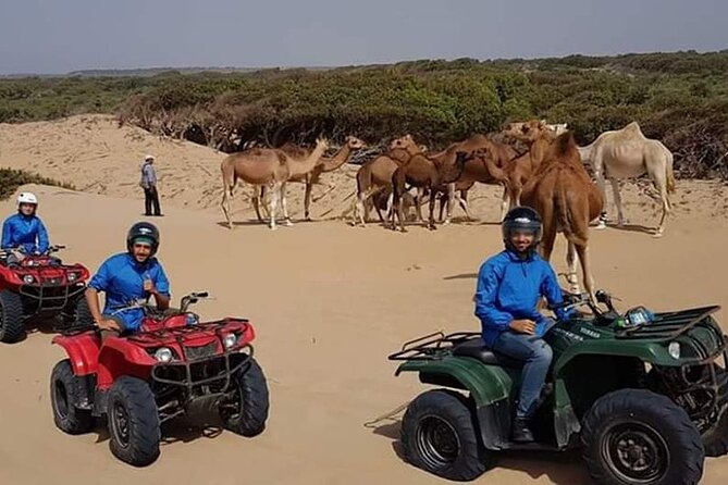 Essaouira: 1 Hour Dromedary + 2 Hours Quad - Tour Overview